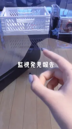 監視発見報告
