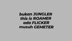 this is roamer