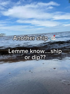 Ship or dip?