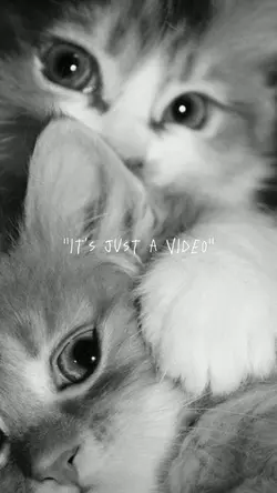 Mother Cat
