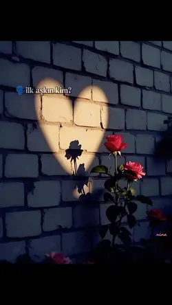 ilk aşkın kim