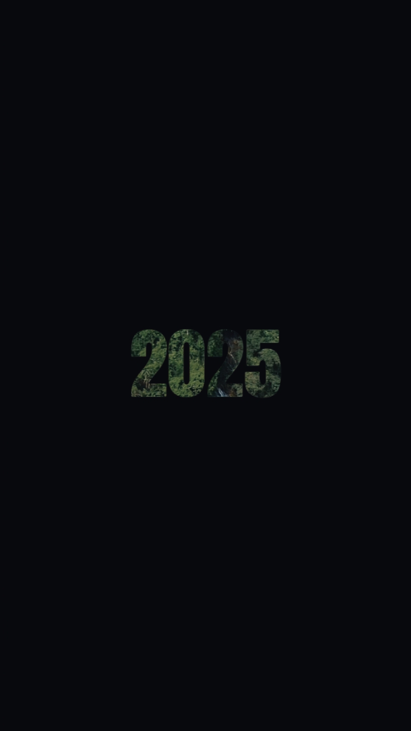 오버레이 2025 오프닝