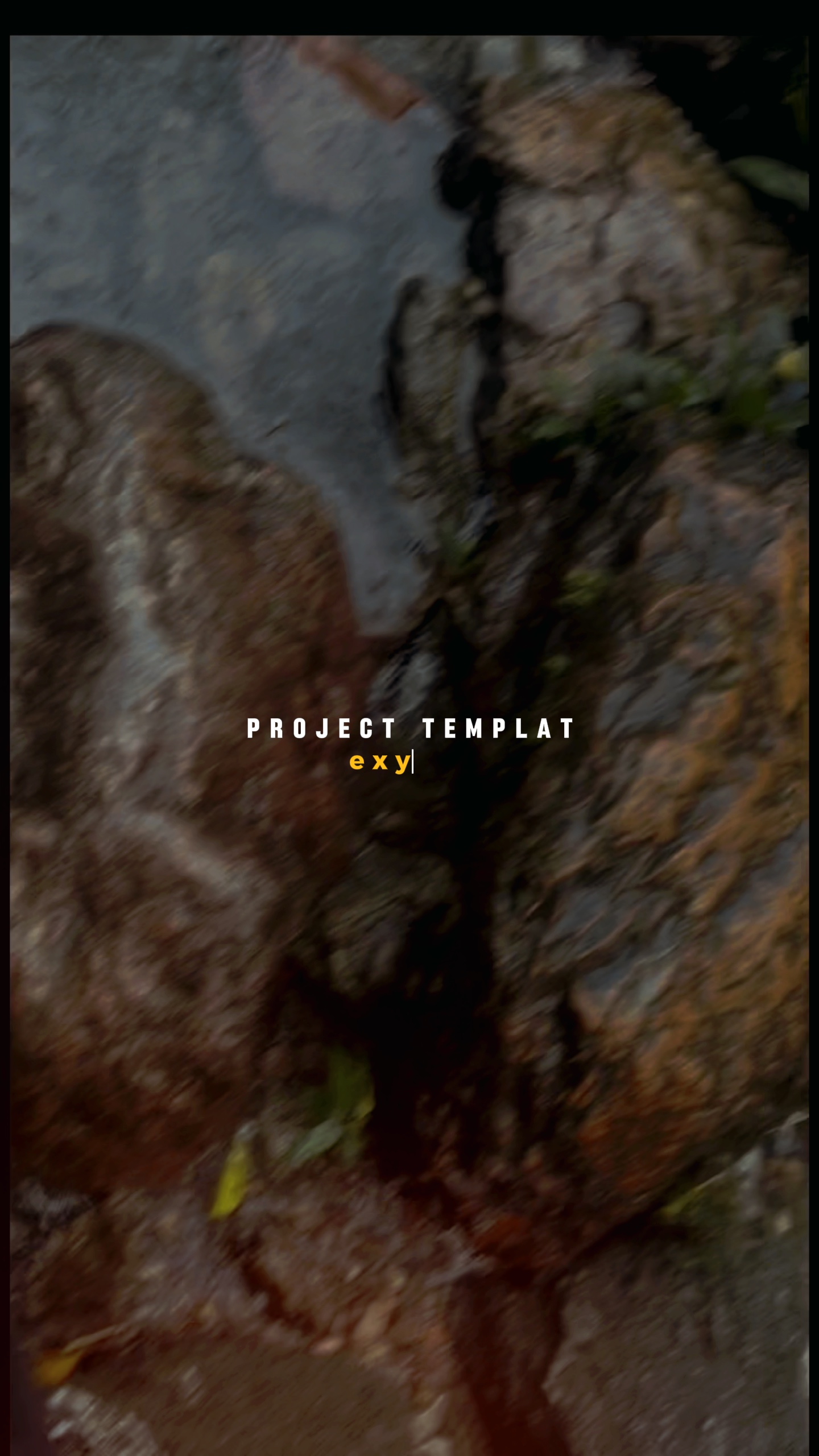 Projet 