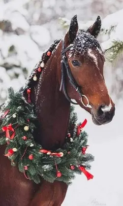 Christmas horse