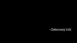 matching tekst wojo