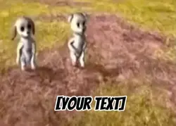 Dogs 🐶 