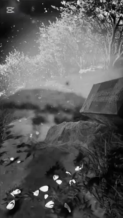 WhatsApp durum video