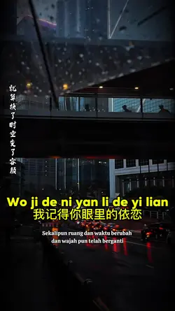 我记得你眼里的依恋