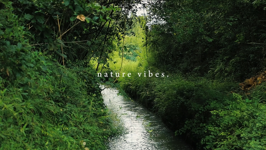 Nature Vibes 