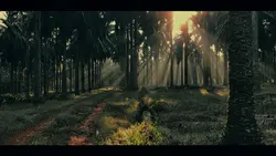 slow landscape