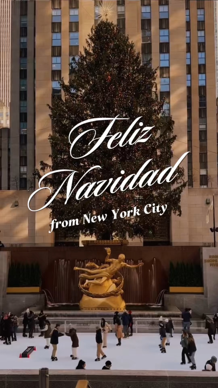 Feliz Navidad 🎄☃️