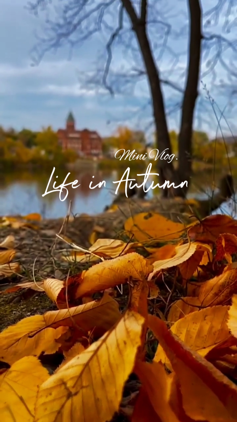 autumn mini vlog