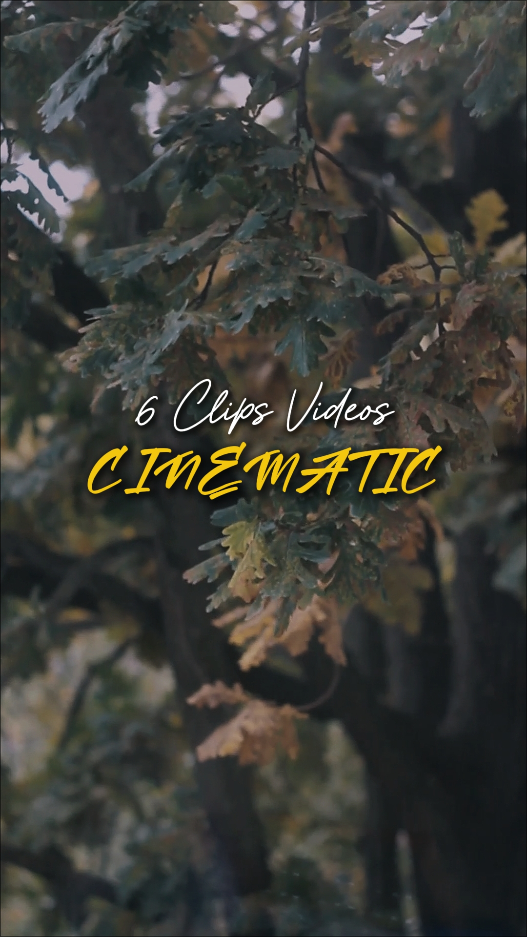 Cinématique 6 Vidéos