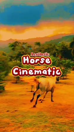 Horse Cinematic