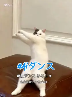 猫ダンス みりにゃ