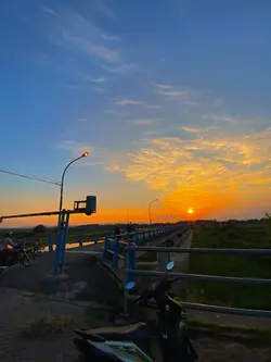 Filter senja