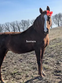 riding tomorrow! <3