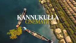 CINEMATIC SONG INDIA