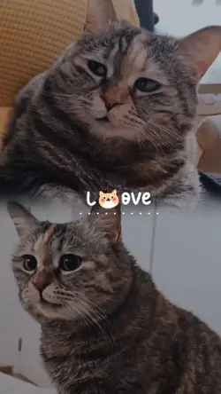 เธอคือความวุ่นวาย