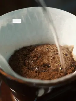 Ngopi