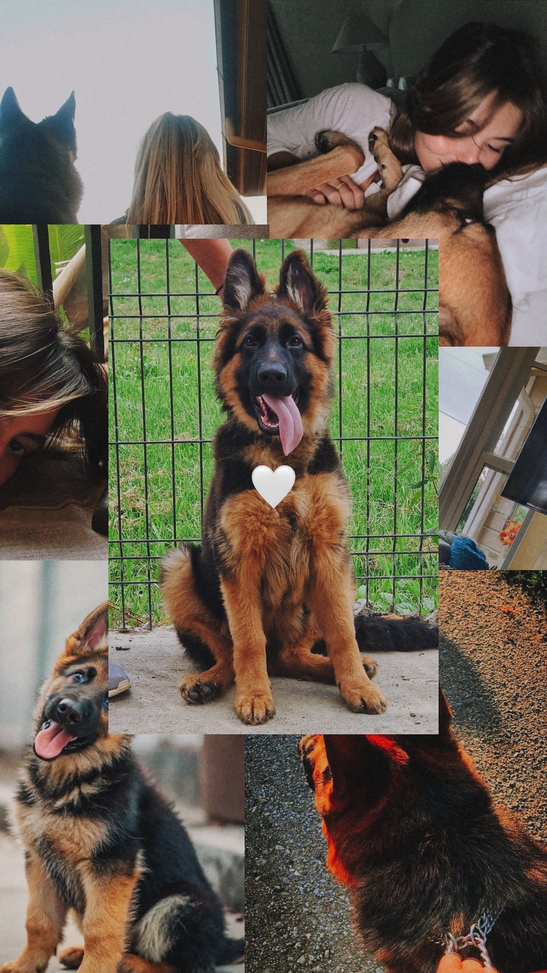 MON BÉBÉ À FOURRURE❤️🏆