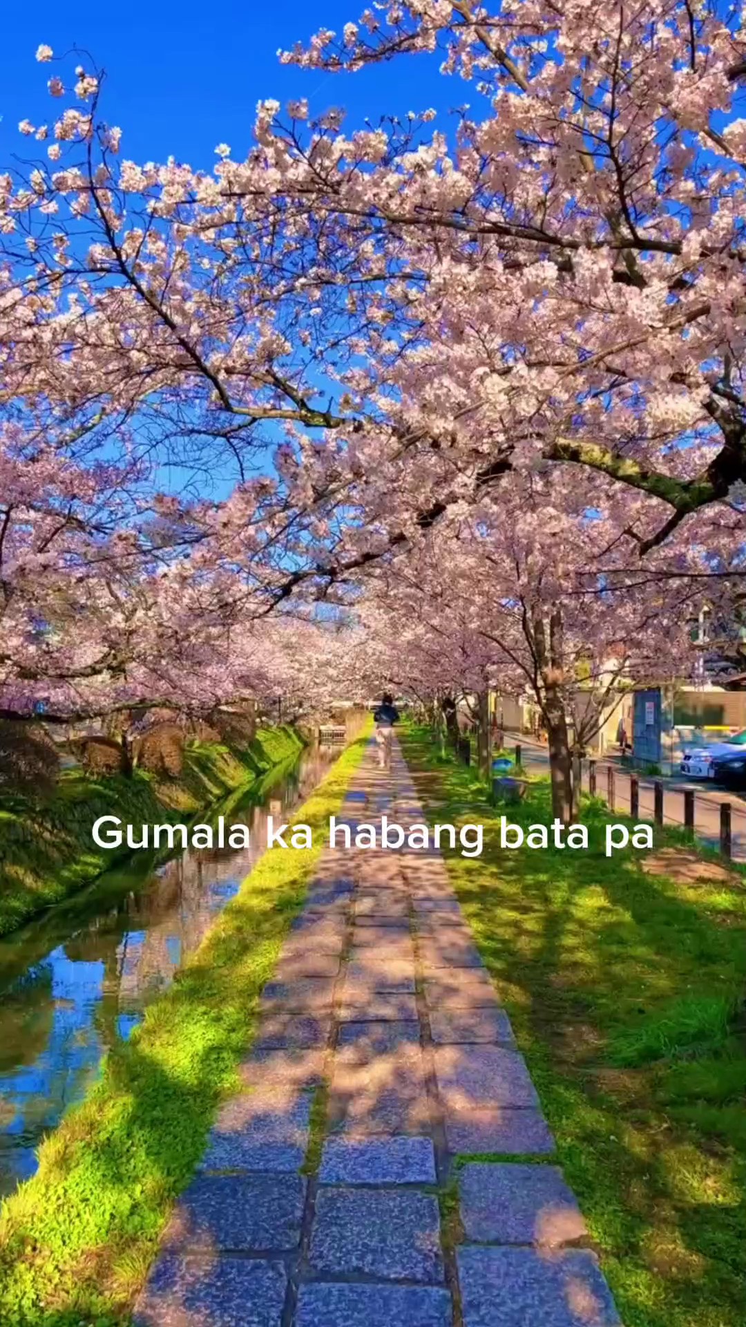 GUMALA ka lang