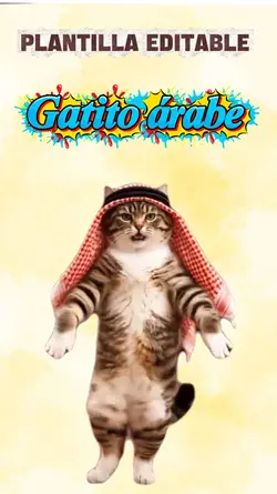Gatito árabe