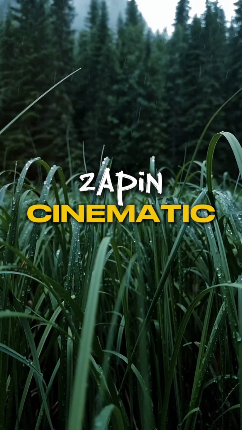 KINEMATIK ZAPIN