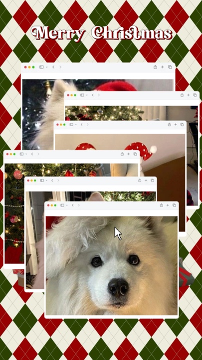 Animal de estimação de natal