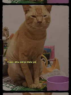 peliharaan pergi sel