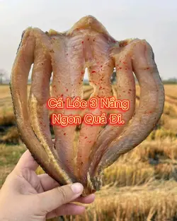 Thực phẩm Đặc Sản 1