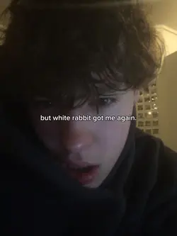 white rabbit got me