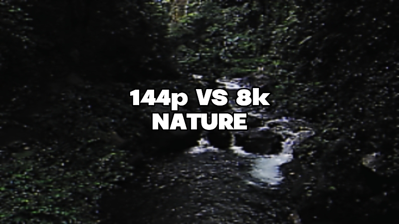 144p vs 8k Nature