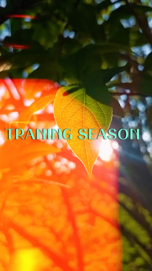 TRAINING SEASON edit
