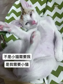 24秒 14張
