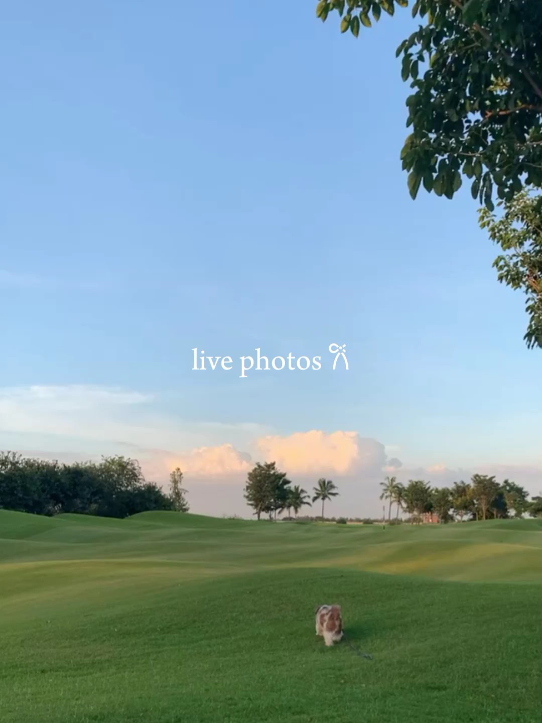 foto langsung ⋆.