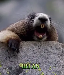 IRFAN