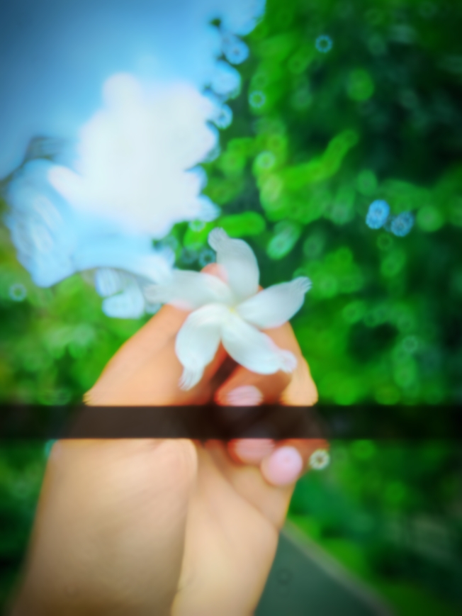 ইসলামিক ভিডিও 