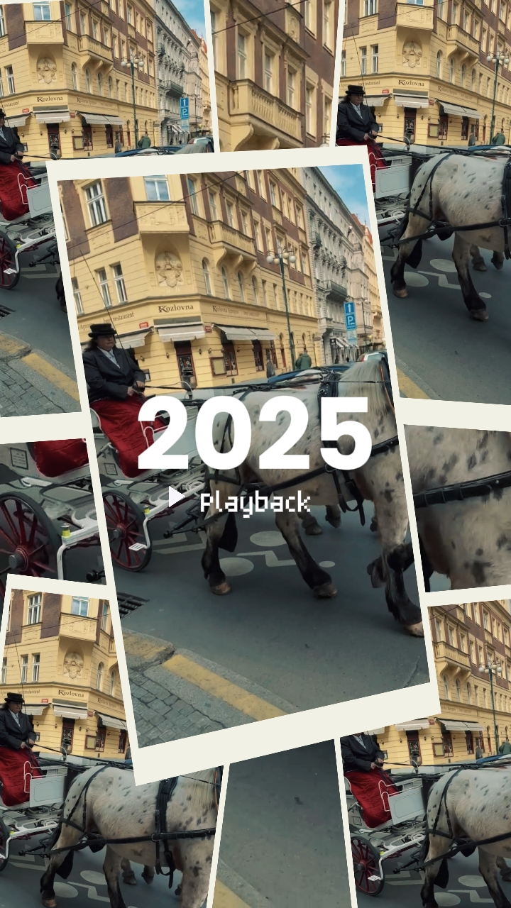 2025 Wiedergabe
