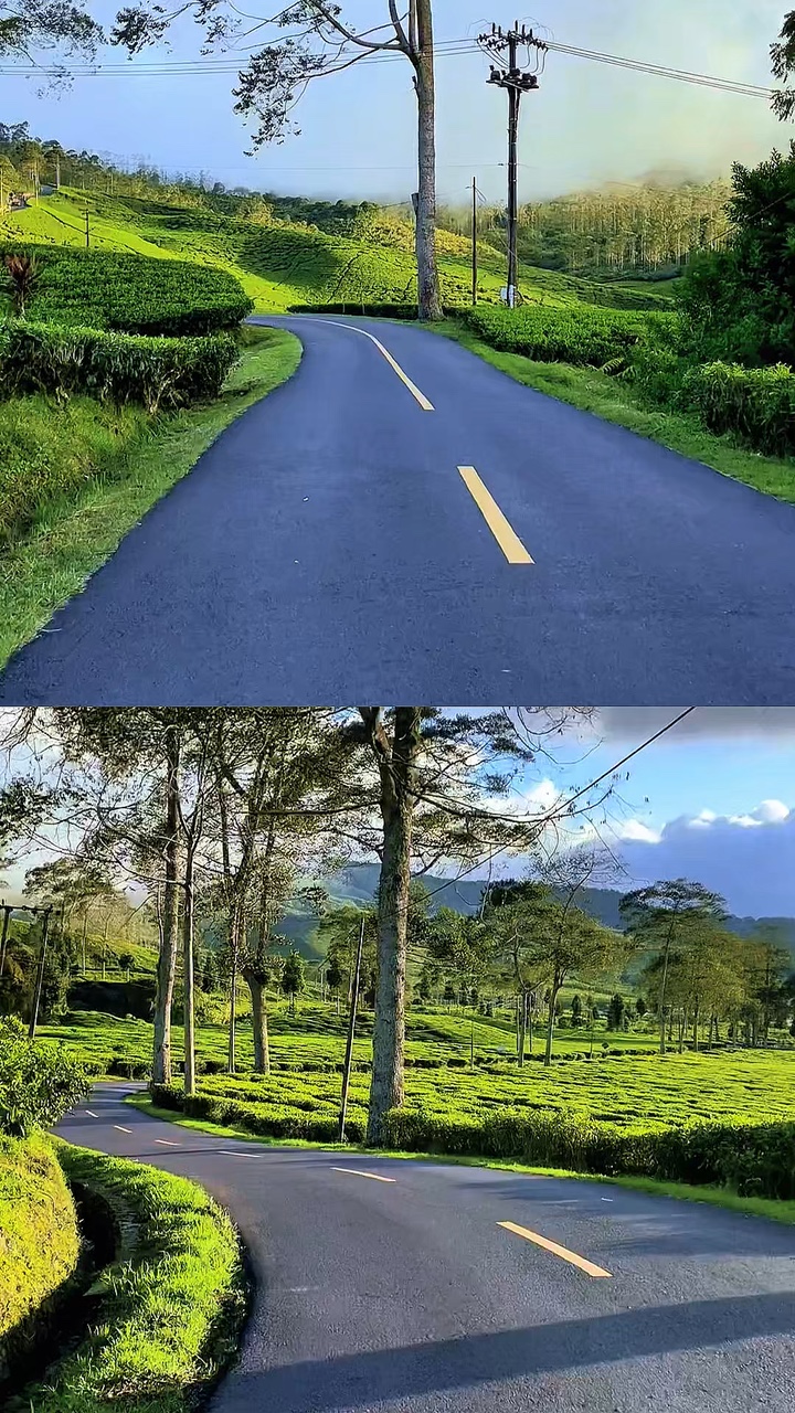 2 collages vidéo HD