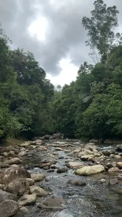 Kagubatan
