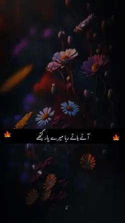 Poetry 