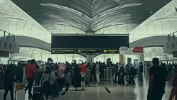 Landscape Video