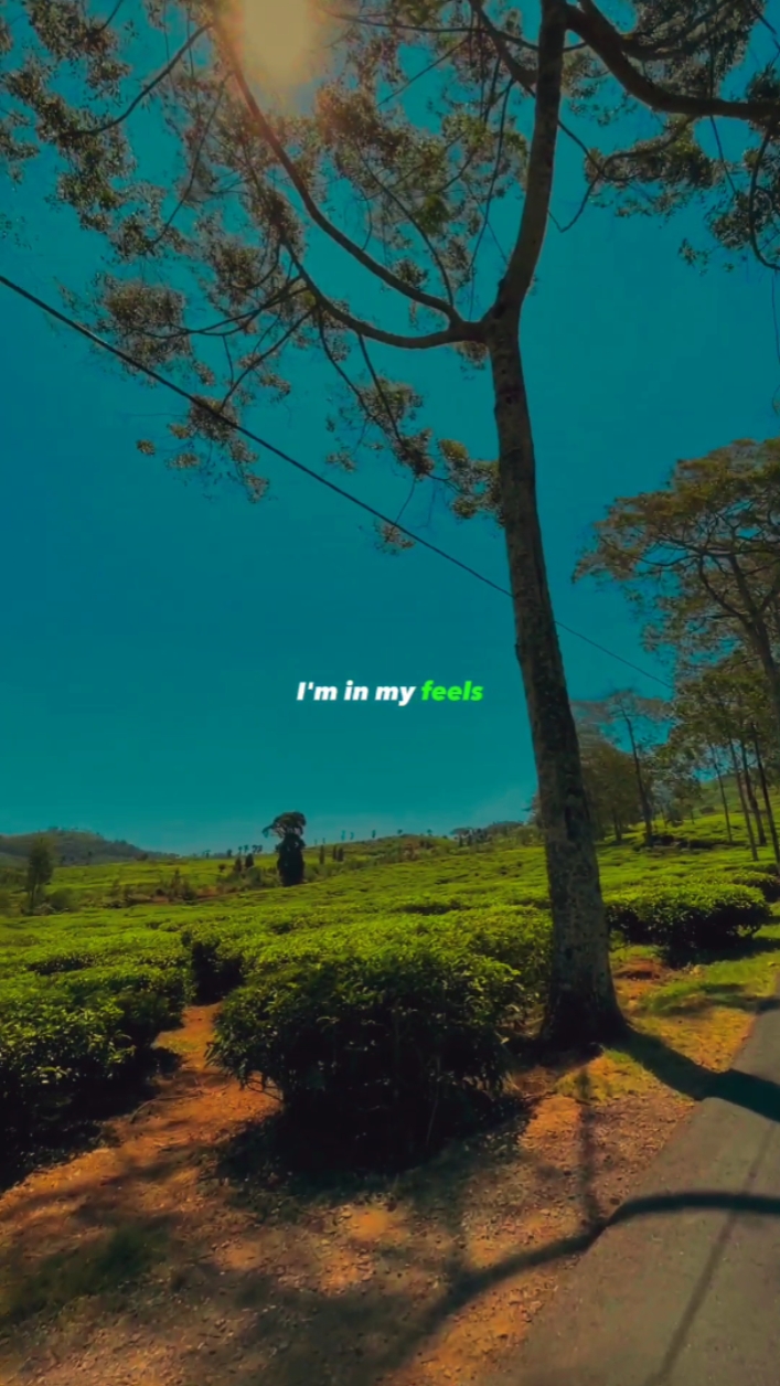 Portrait Slow Mo