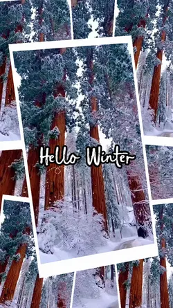 Hello Winter