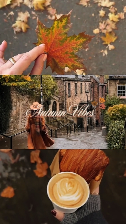 Autumn Vibes