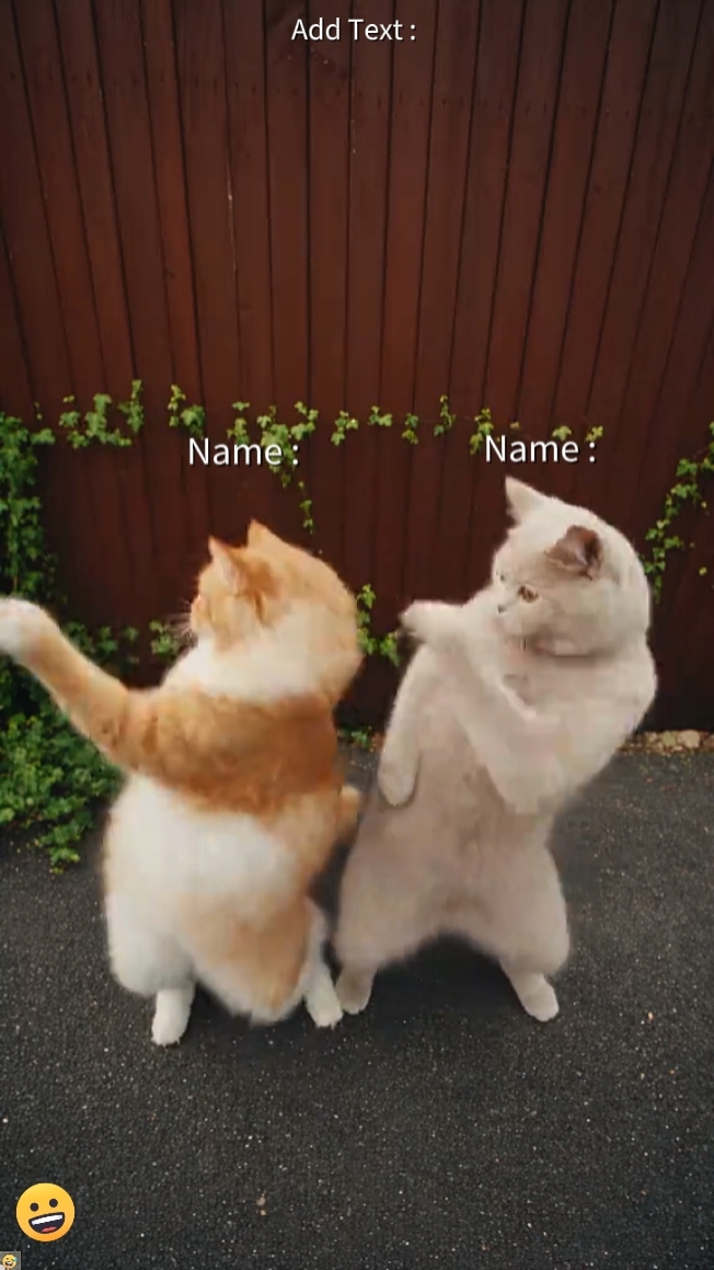 Dance cat Trend 