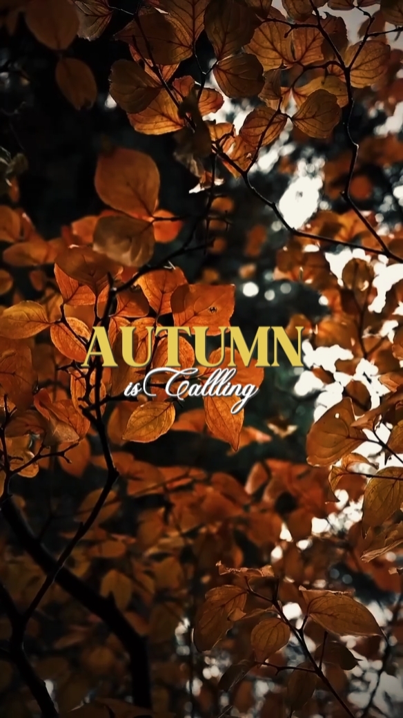 Autumn is calling