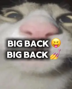 Big backkk