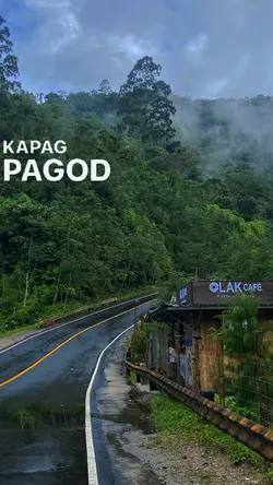 trend tbolok 